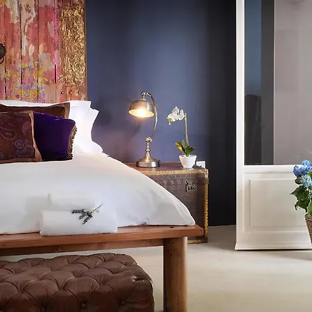 Hotel Purple Apricot *