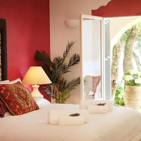 Hotel Purple Apricot Vlachopoulatika